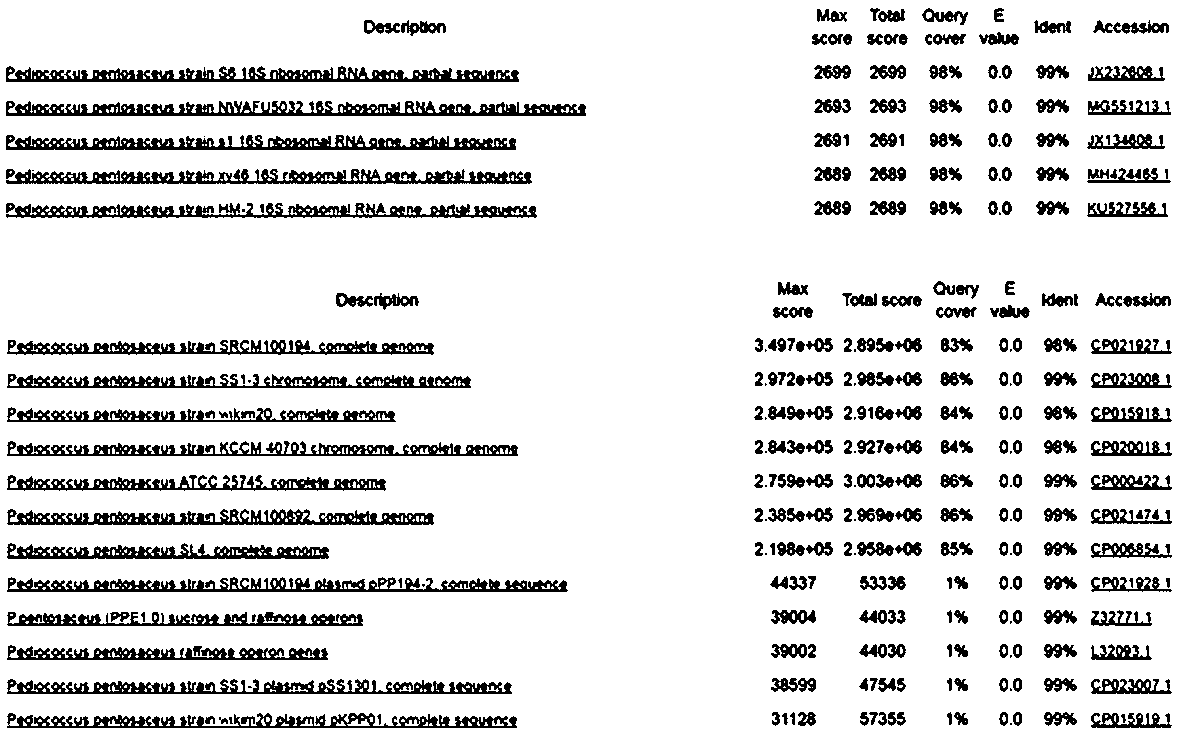 Pediococcus pentosaceus strain, microbial preparation and preparation method thereof