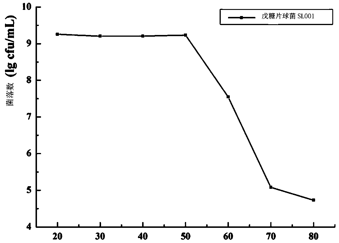 Pediococcus pentosaceus strain, microbial preparation and preparation method thereof