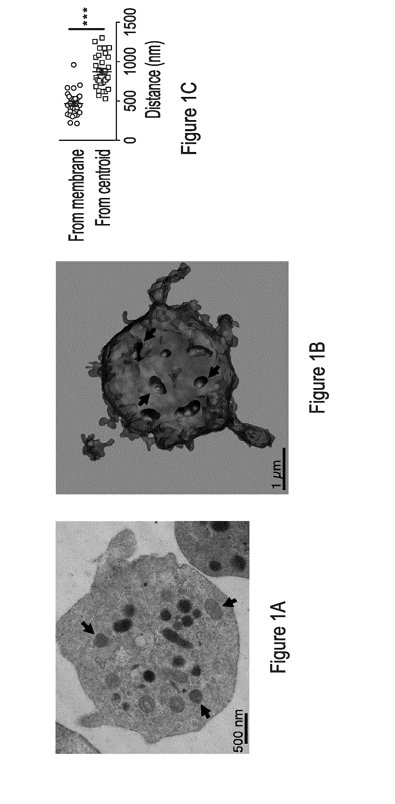 Extracellular Mitochondrial Components for Detecting Inflammatory Reactions and Conditions