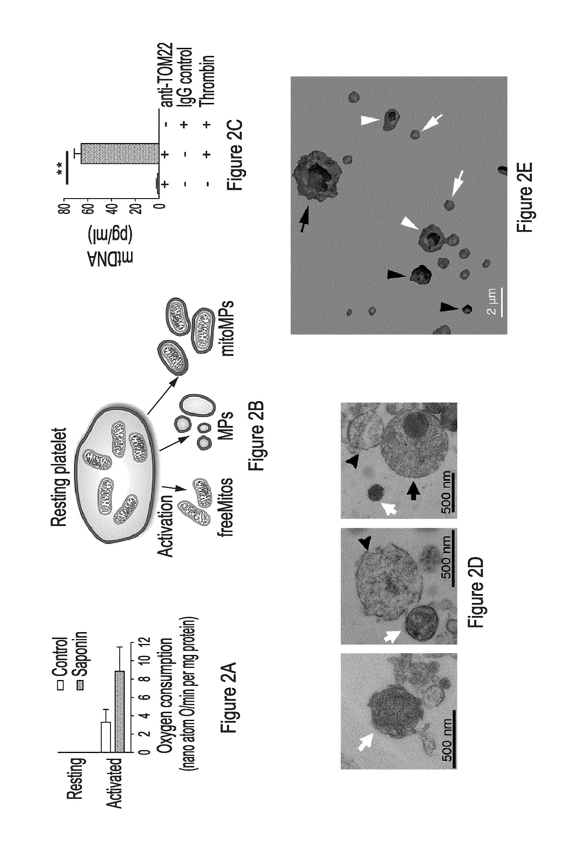 Extracellular Mitochondrial Components for Detecting Inflammatory Reactions and Conditions