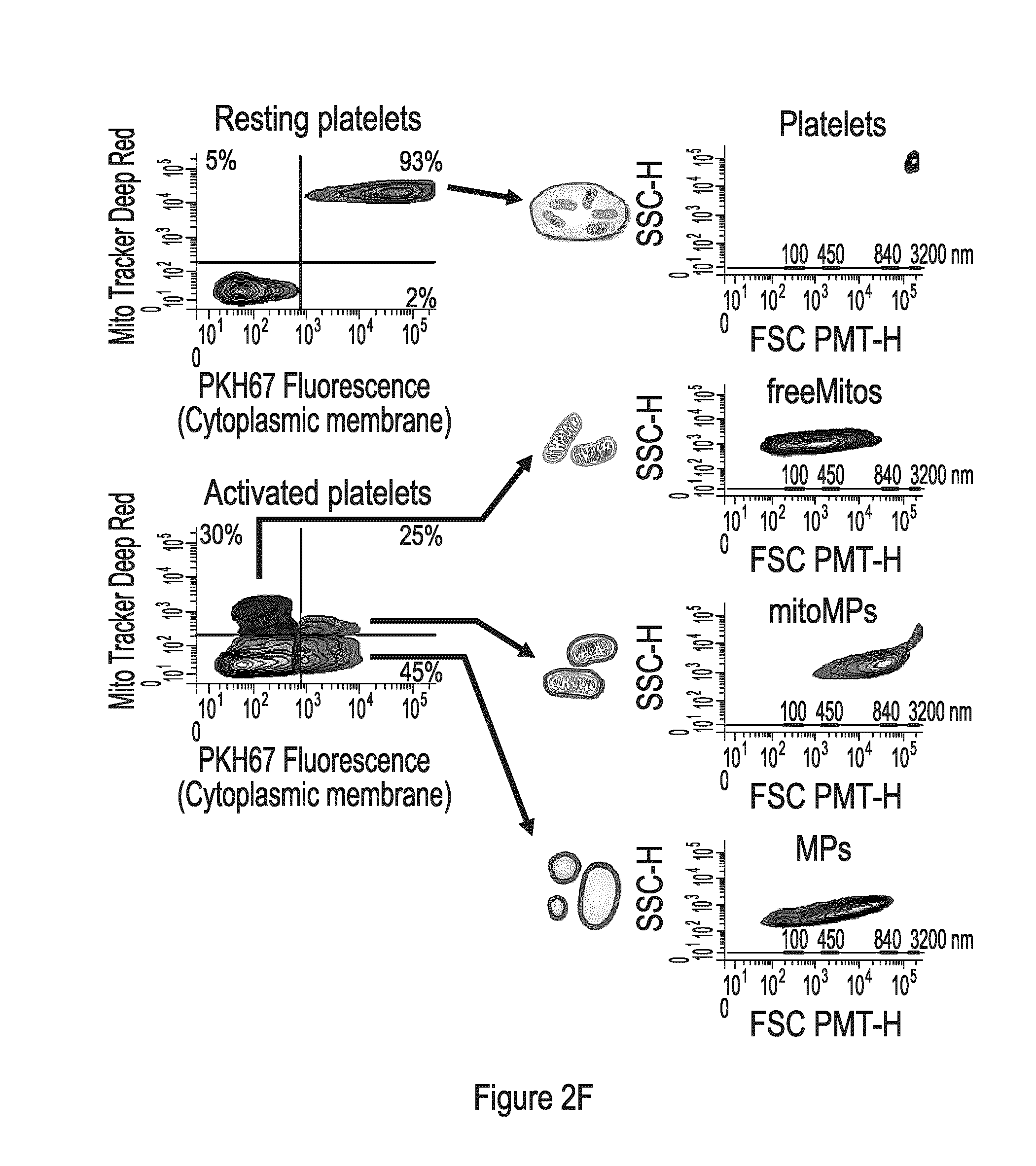 Extracellular Mitochondrial Components for Detecting Inflammatory Reactions and Conditions