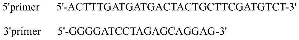 Method and kit for detecting frameshift mutation of human DEFB126 gene