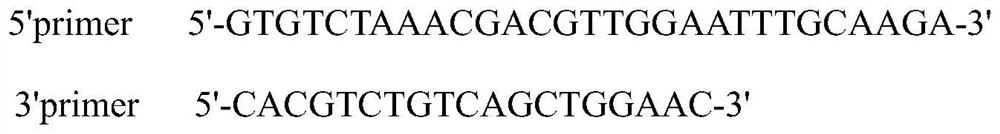 Method and kit for detecting frameshift mutation of human DEFB126 gene