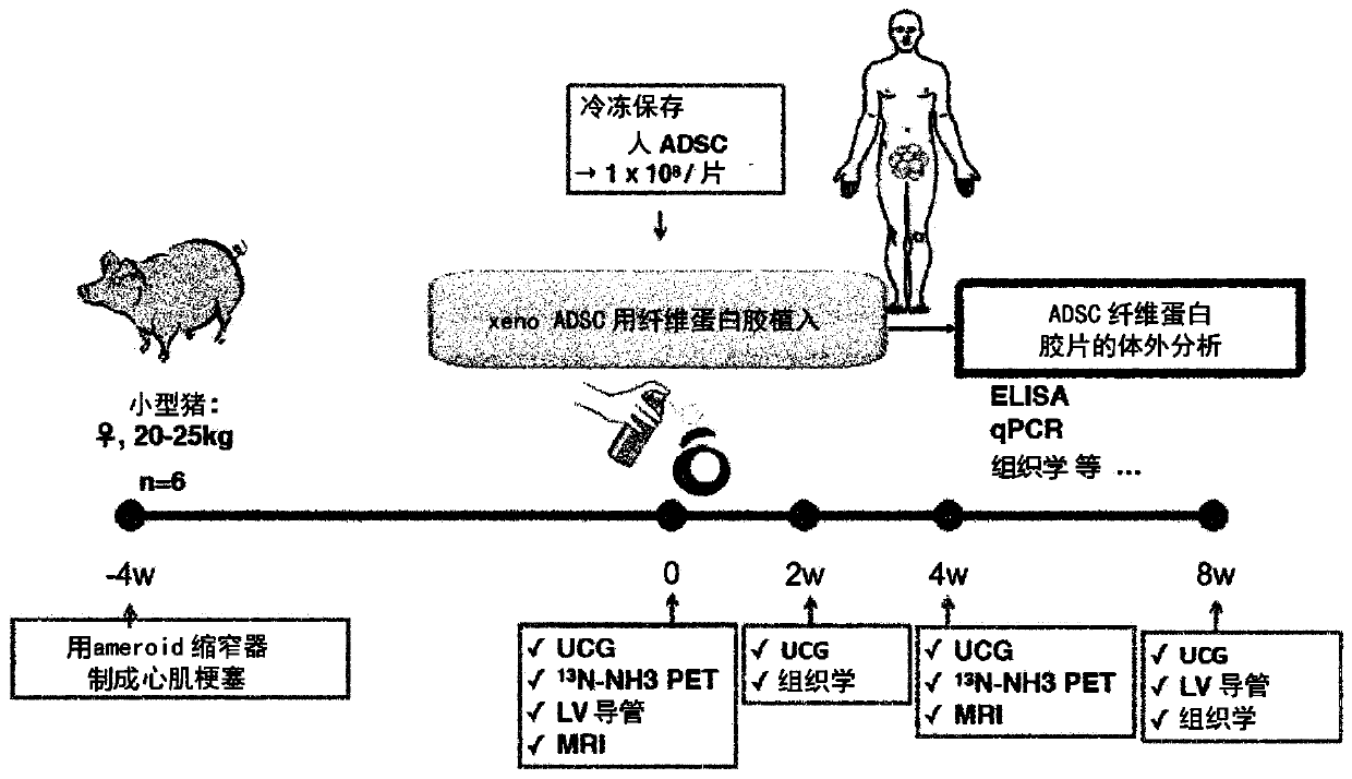 Kit for preparing disease-treating agent, disease-treating agent and method for preparing disease-treating agent