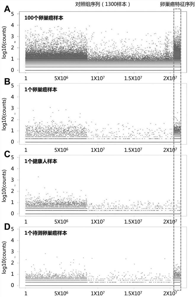 Peripheral blood TCR marker for ovarian cancer as well as detection kit and application of peripheral blood TCR marker