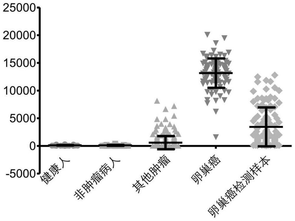 Peripheral blood TCR marker for ovarian cancer as well as detection kit and application of peripheral blood TCR marker