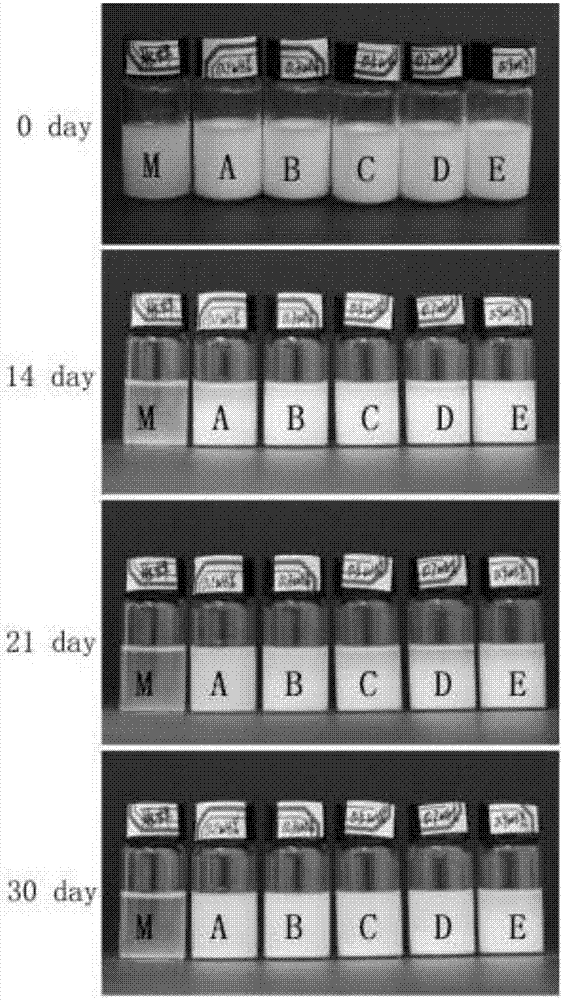 Modified polymannuronic acid derivative, drug-carrying aqueous emulsion and preparation method thereof