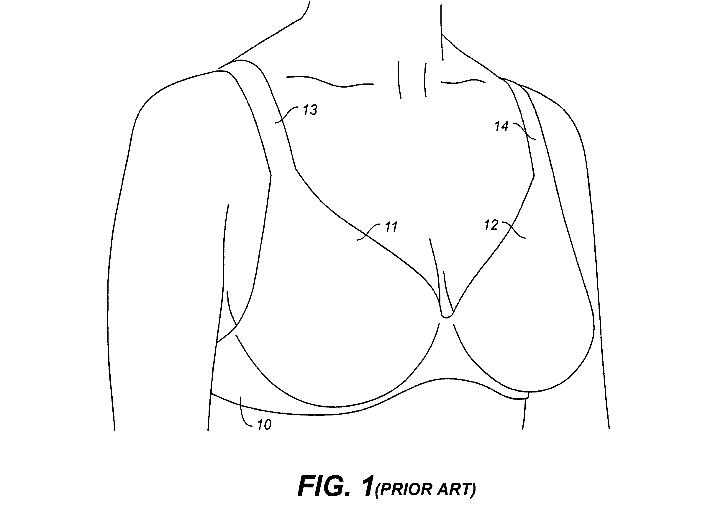 Support bra with reinforced cups