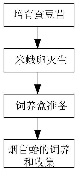 A kind of industrial production method of Lygus nicola