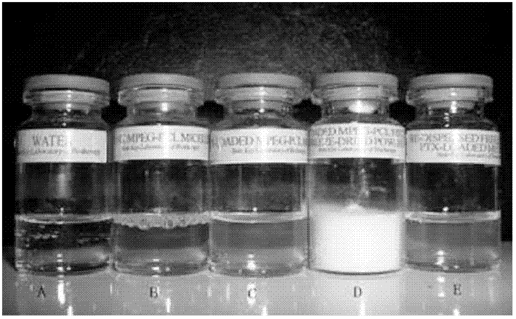 Micelles and freeze-dried preparations of diblock polymer-supported taxane medicines and preparation and use thereof