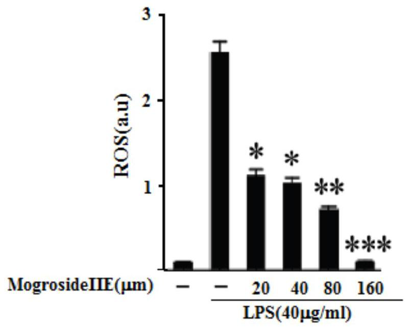 Application of mogroside IIE in preparation of antioxidant food, health care products or drugs