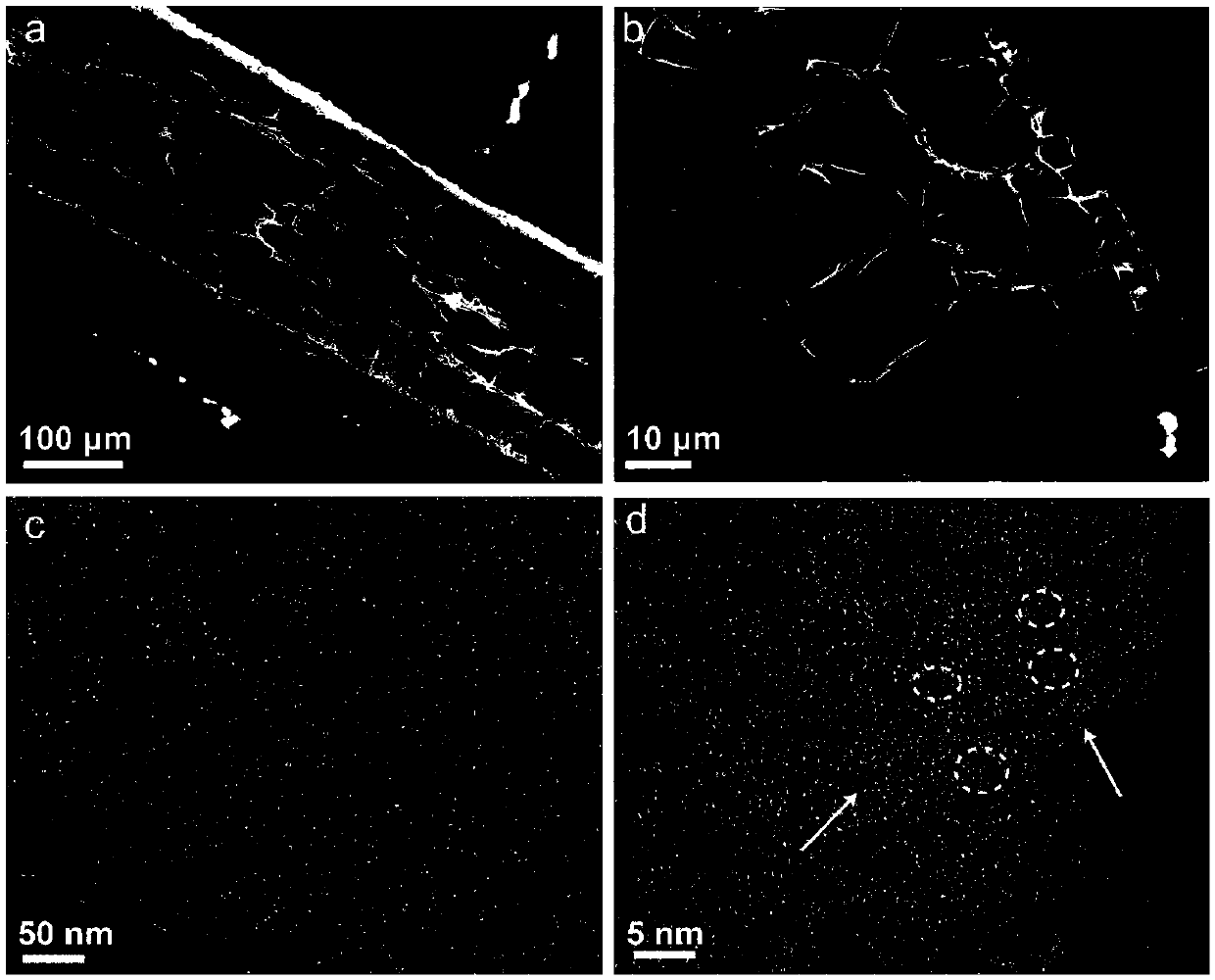 Preparation method of brown alga egg-box structure-based nitrogen-doping porous carbon positive electrode material for lithium storage