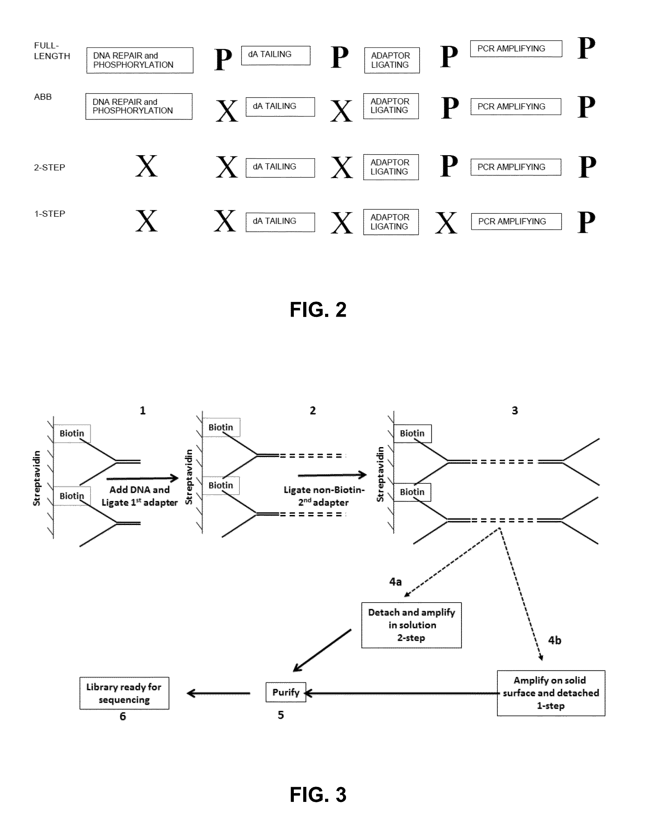 Detecting and classifying copy number variation