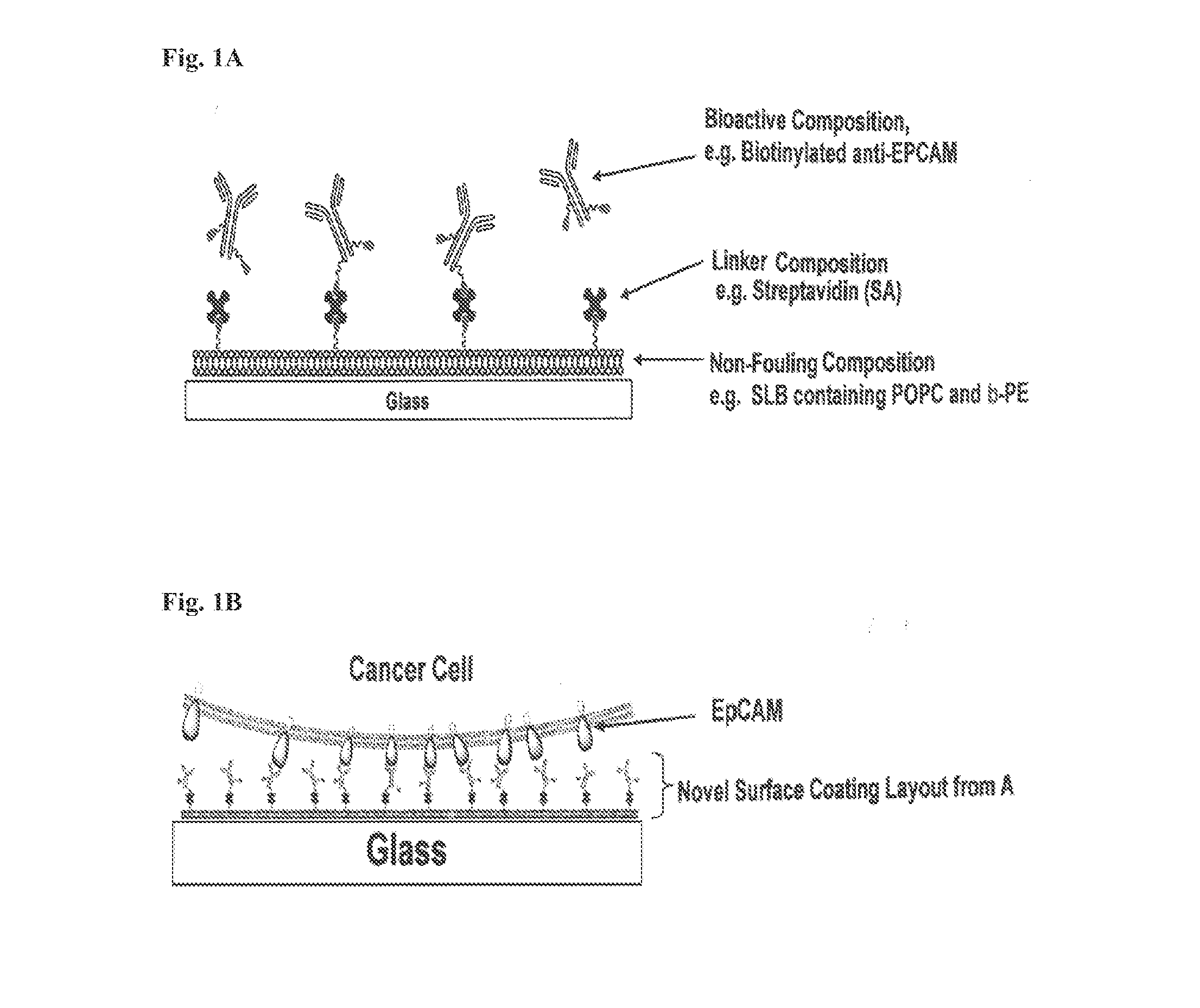 Capture, purification, and release of biological substances using a surface coating