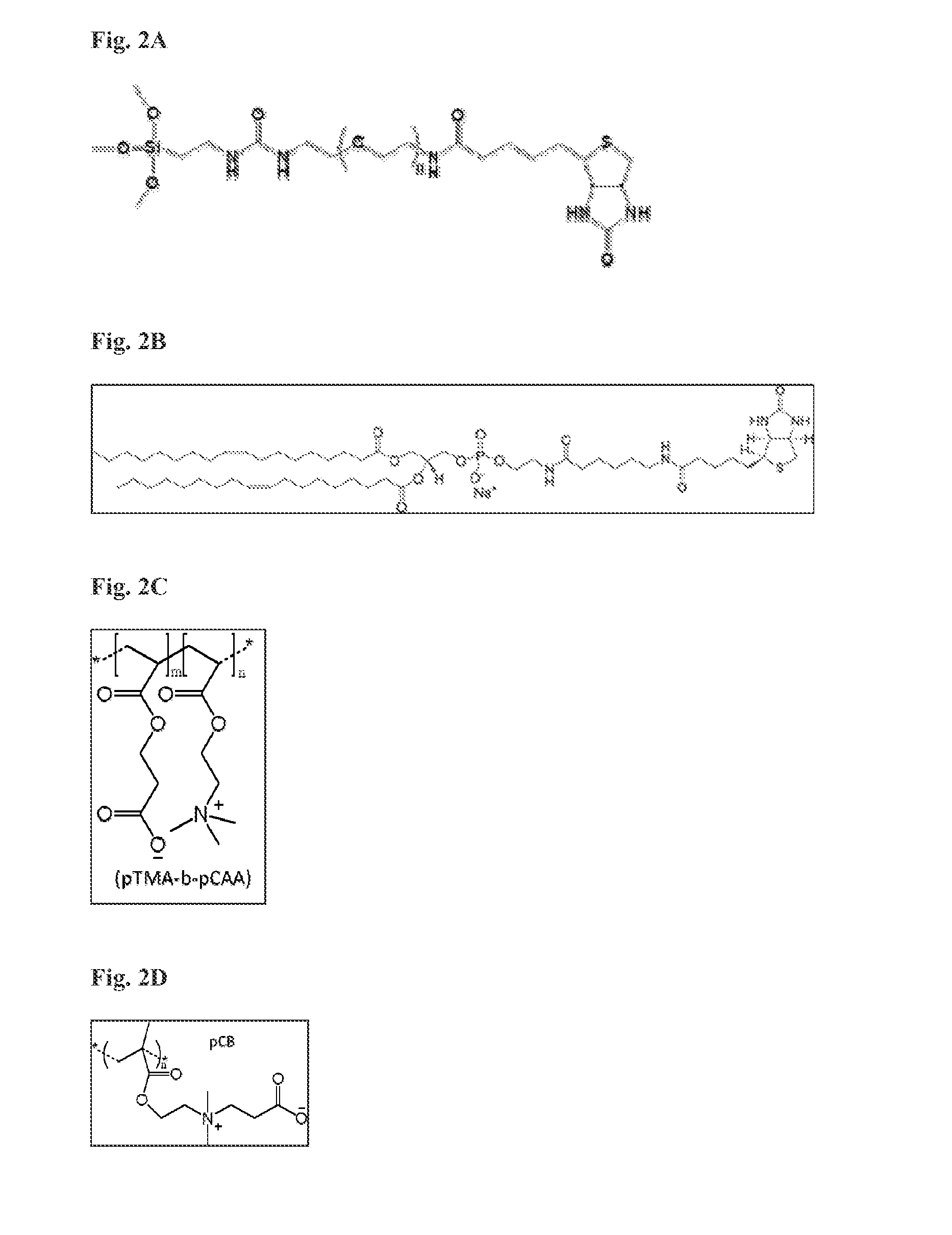 Capture, purification, and release of biological substances using a surface coating