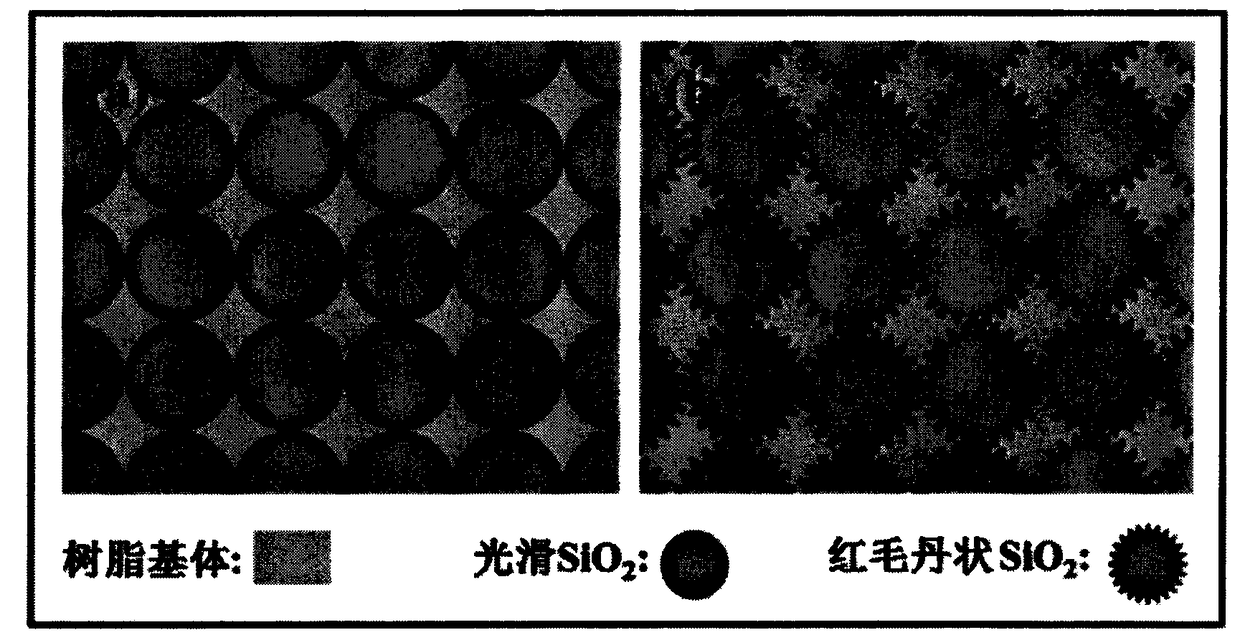 Rambutan-like SiO2-based dental composite resin and preparation method thereof