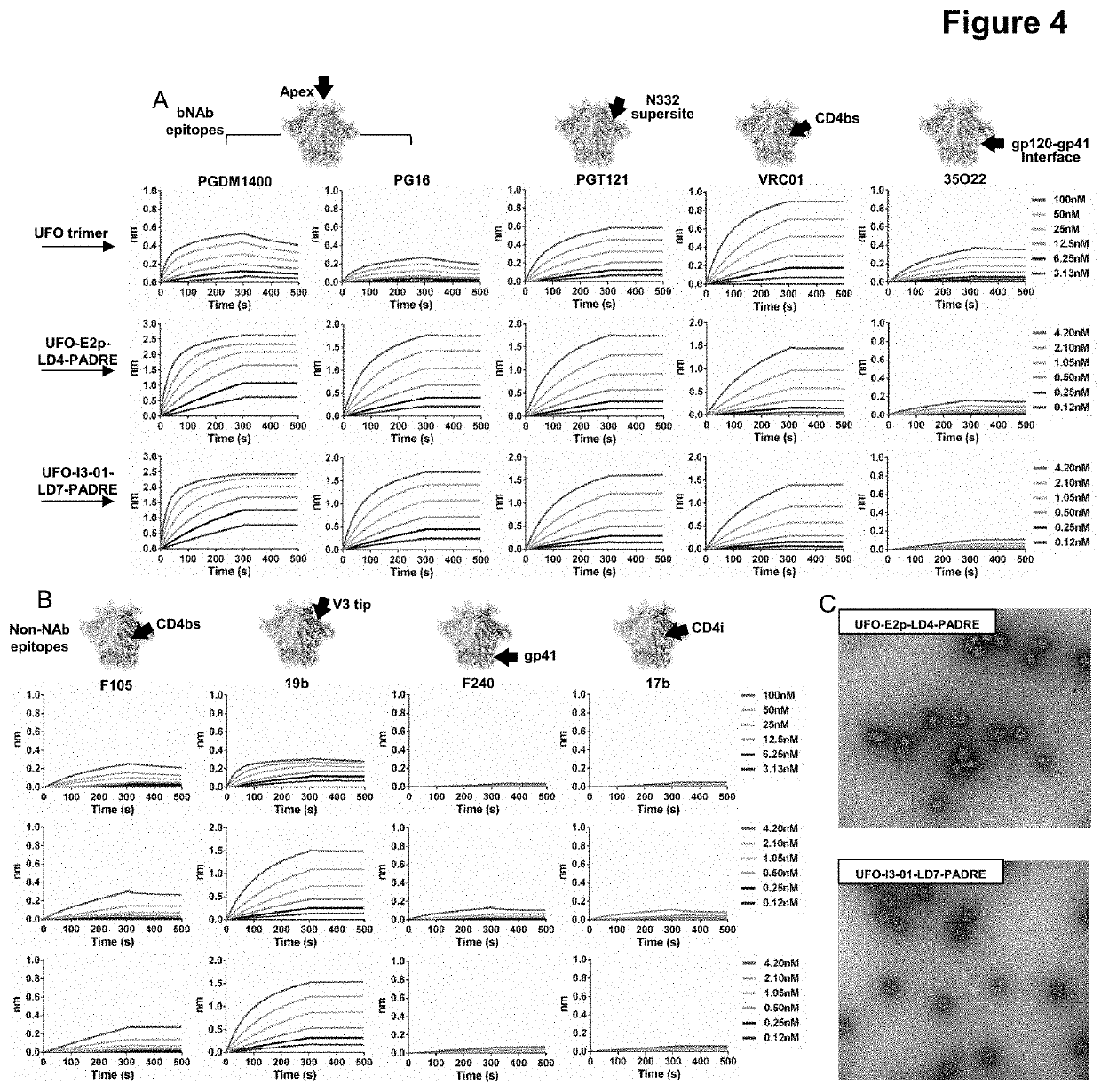 Nanoparticle vaccines with novel structural components