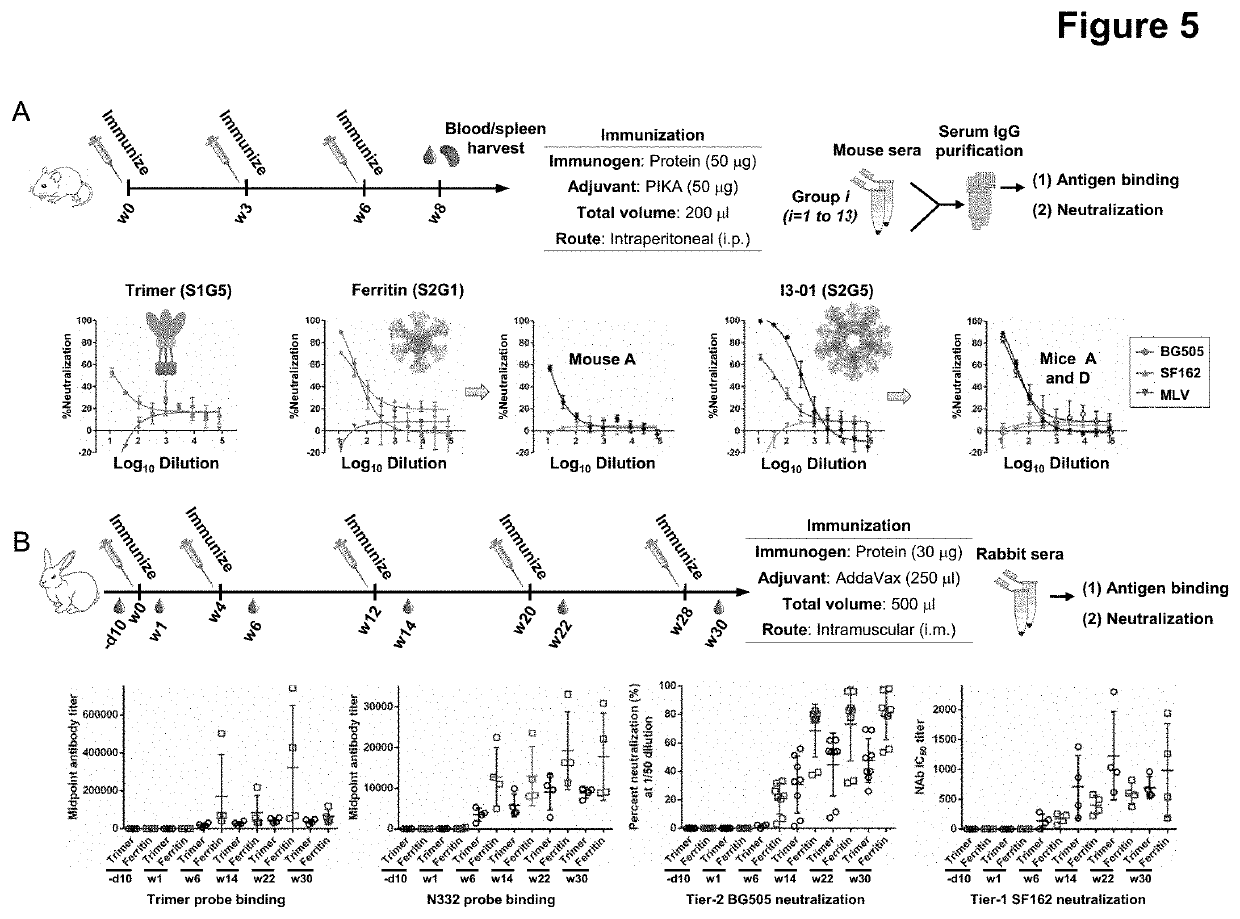 Nanoparticle vaccines with novel structural components