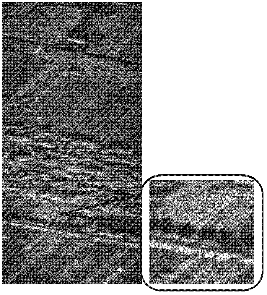 Contrast optimization self-focusing method based on hypersonic platform synthetic aperture radar (SAR)