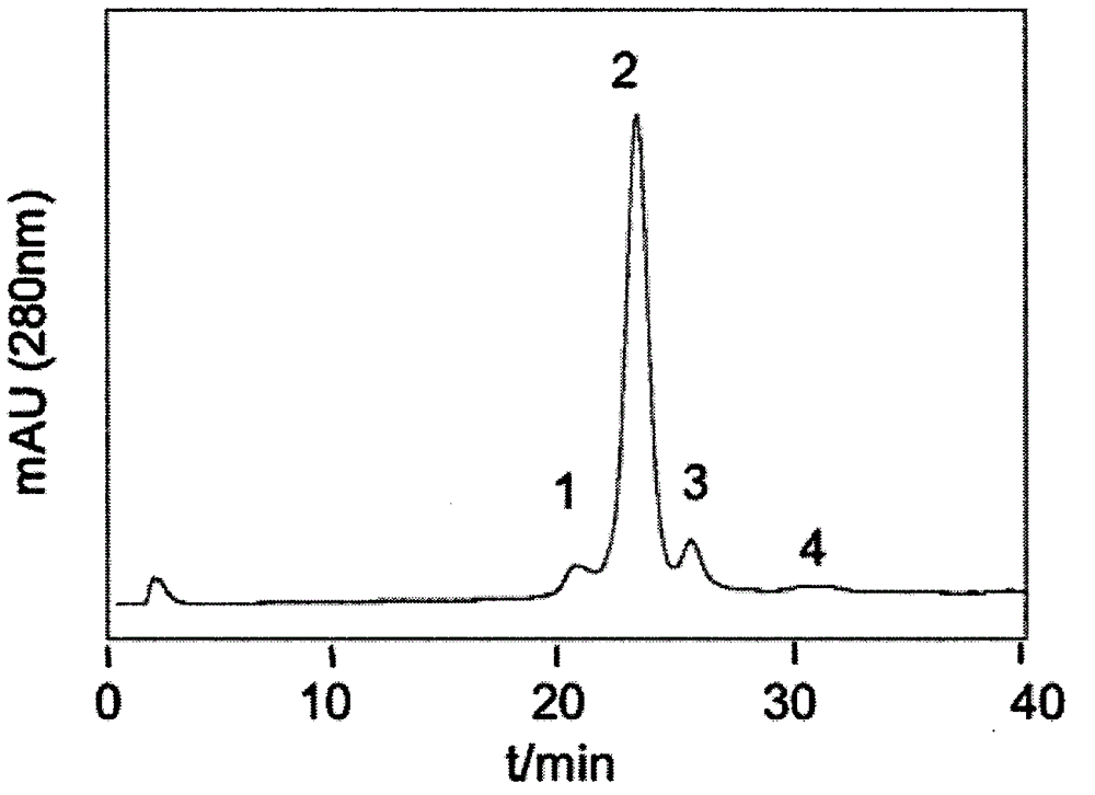 New method for separating out and purifying high-purity lysozyme from egg white