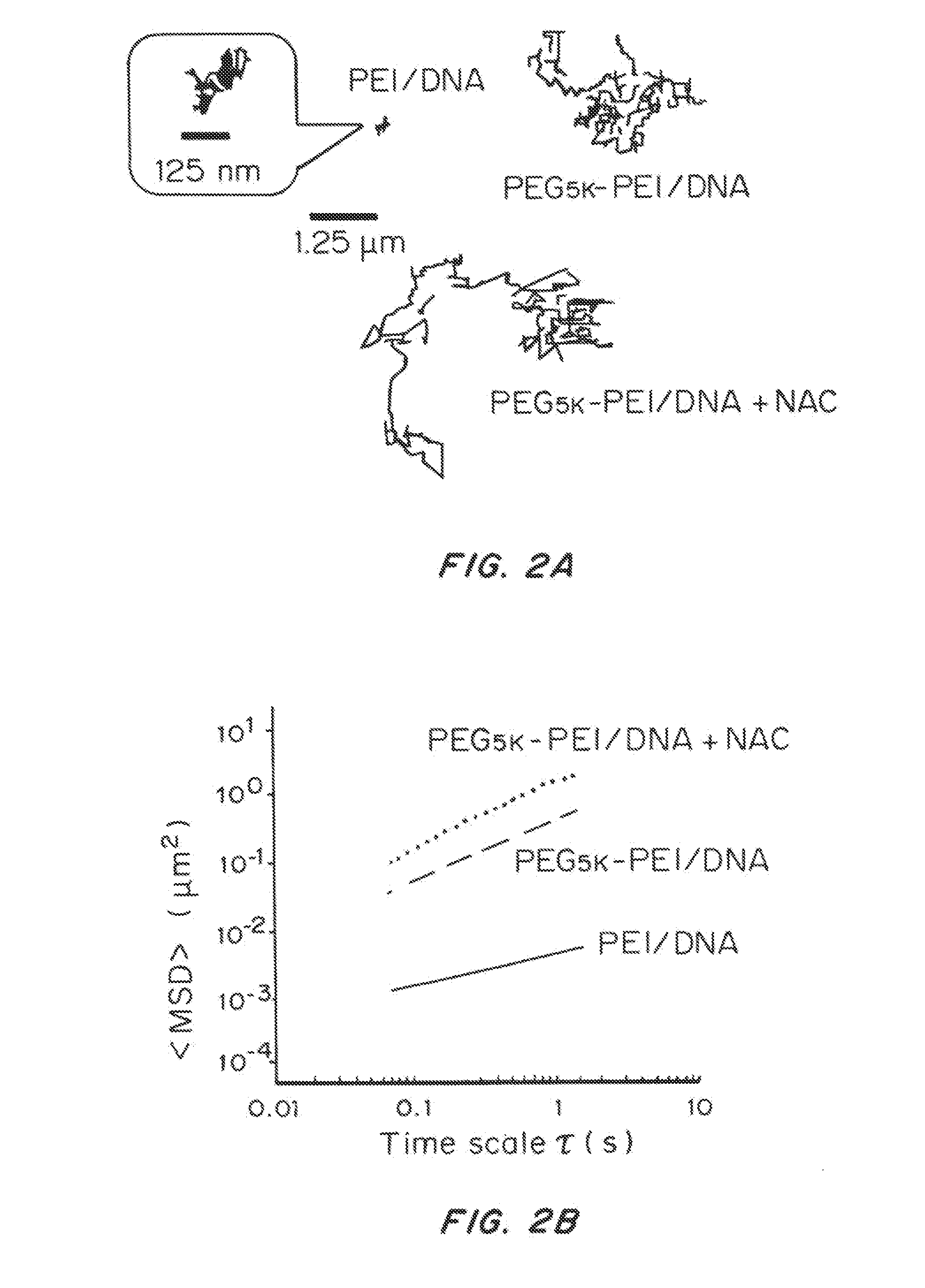 Mucus Penetrating Gene Carriers