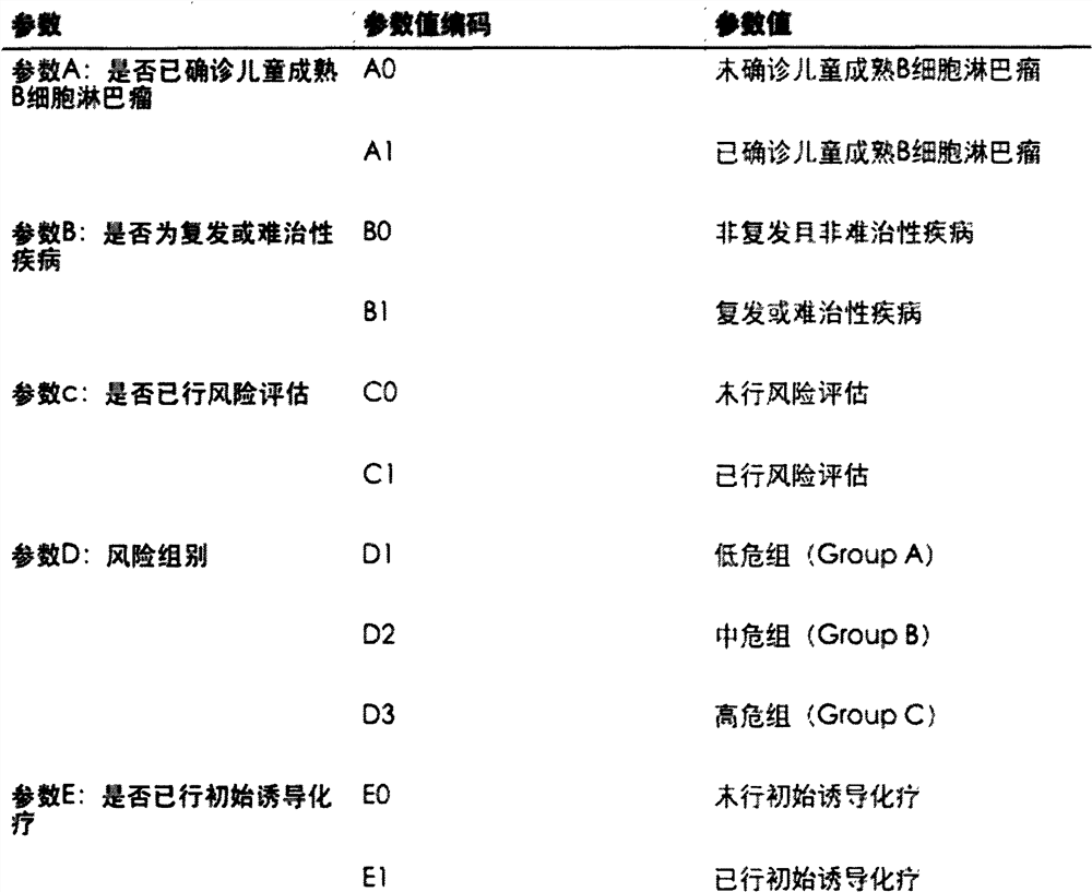 Children mature B cell lymphoma clinical decision-making, teaching and scientific research auxiliary support system and method