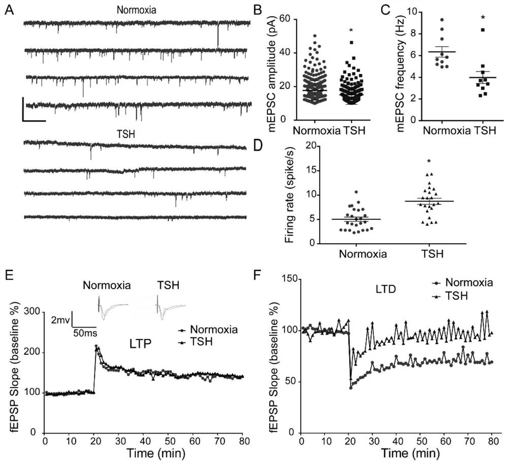 Preparation and application of animal model with broad brain region neuron tree sudden fertility disorder