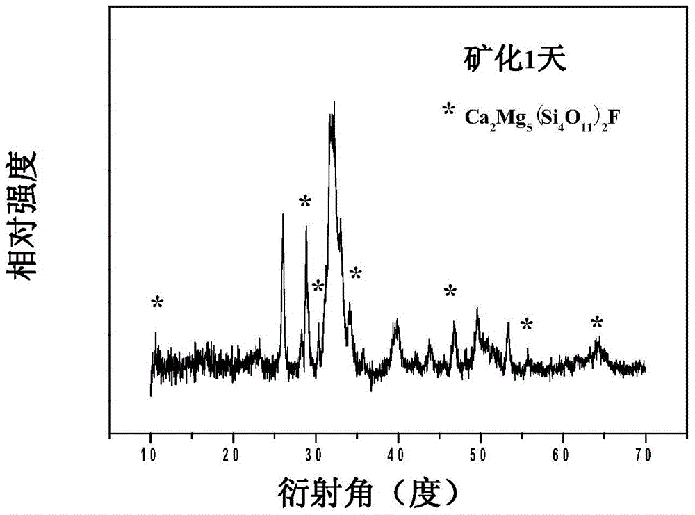 Biomaterial for repairing osseous tissues and preparation method of biomaterial