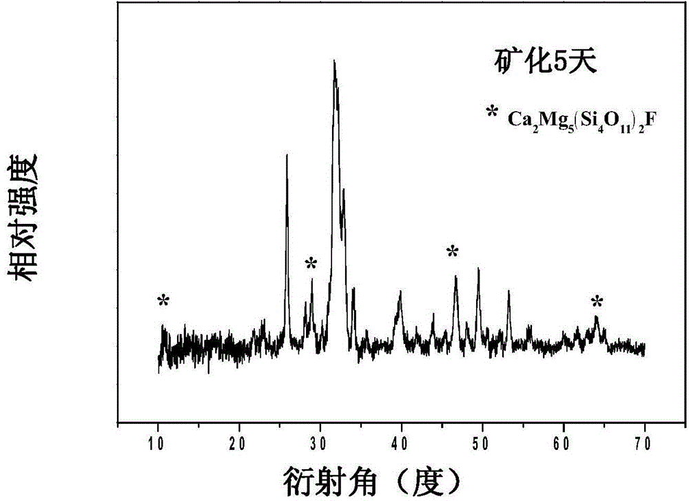 Biomaterial for repairing osseous tissues and preparation method of biomaterial