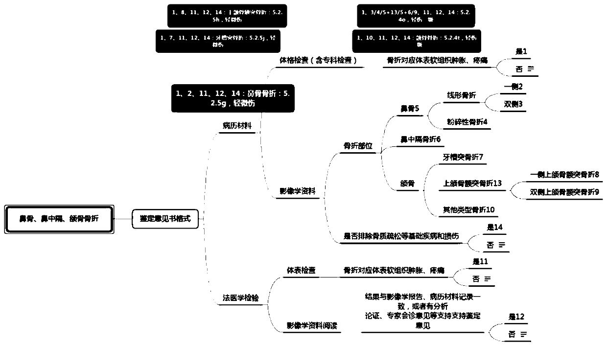 Forensic identification report examination method and system