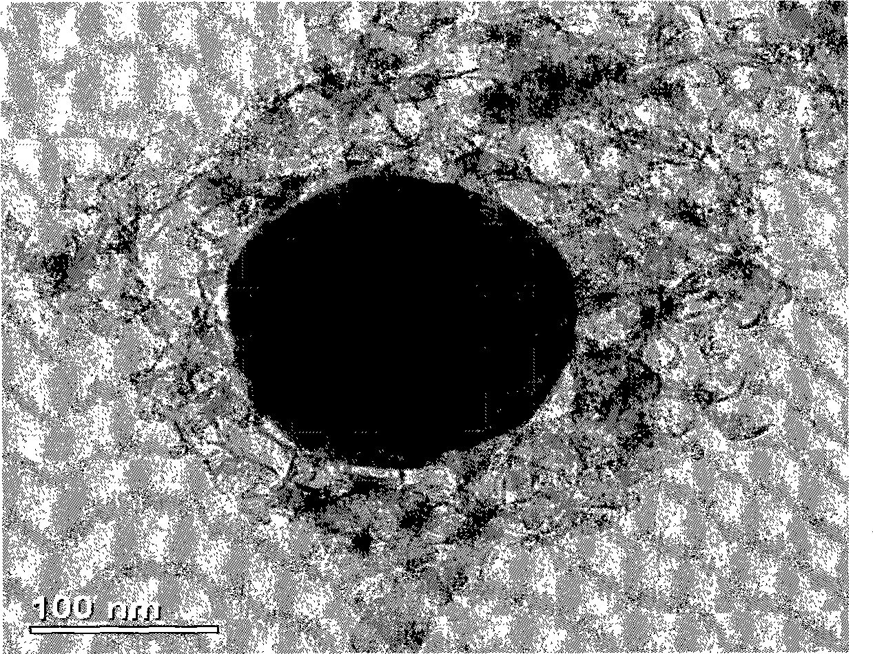 Method for preparing carbon-coating ferric phosphate lithium