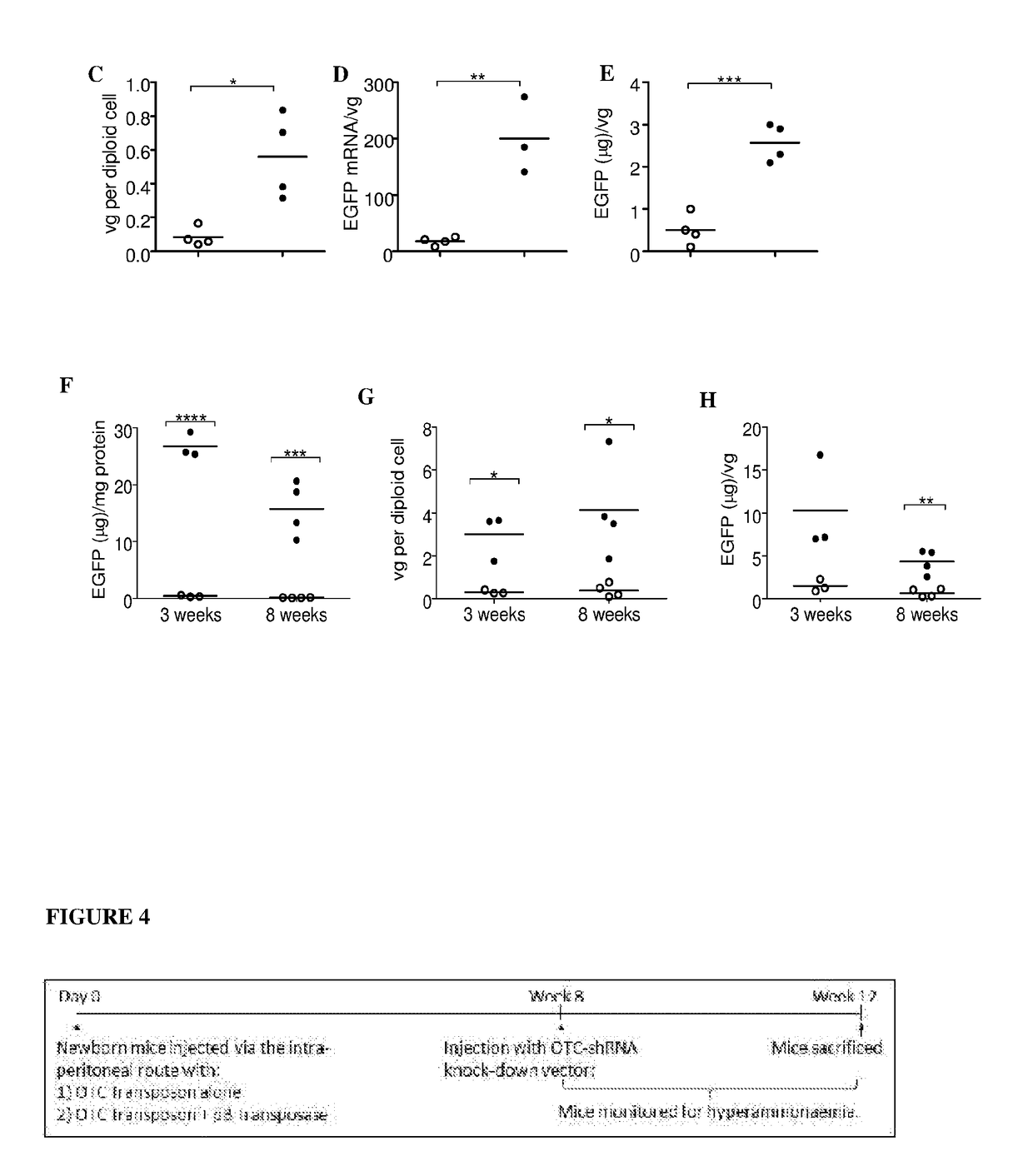 Stable Gene Transfer to Proliferating Cells