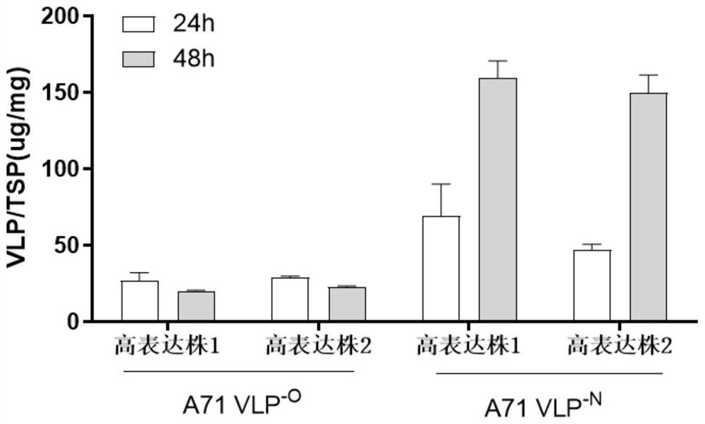 Recombinant enterovirus A71 virus-like particle and application thereof