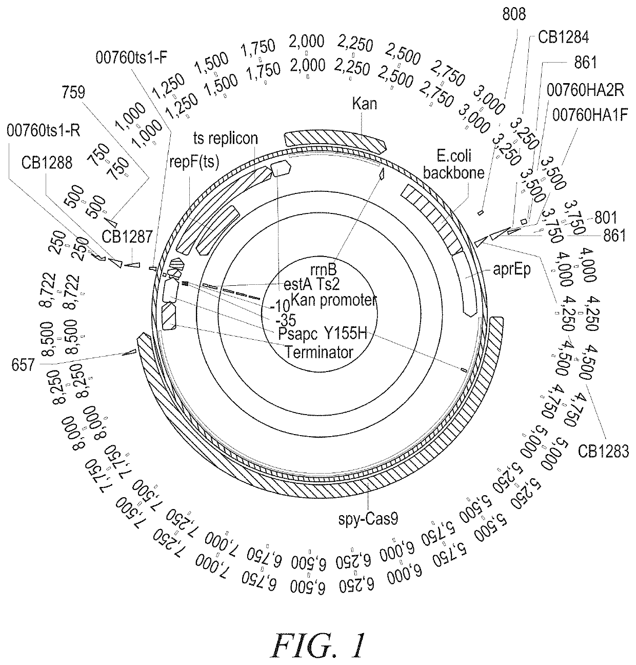 Method for reducing lactose at high temperatures