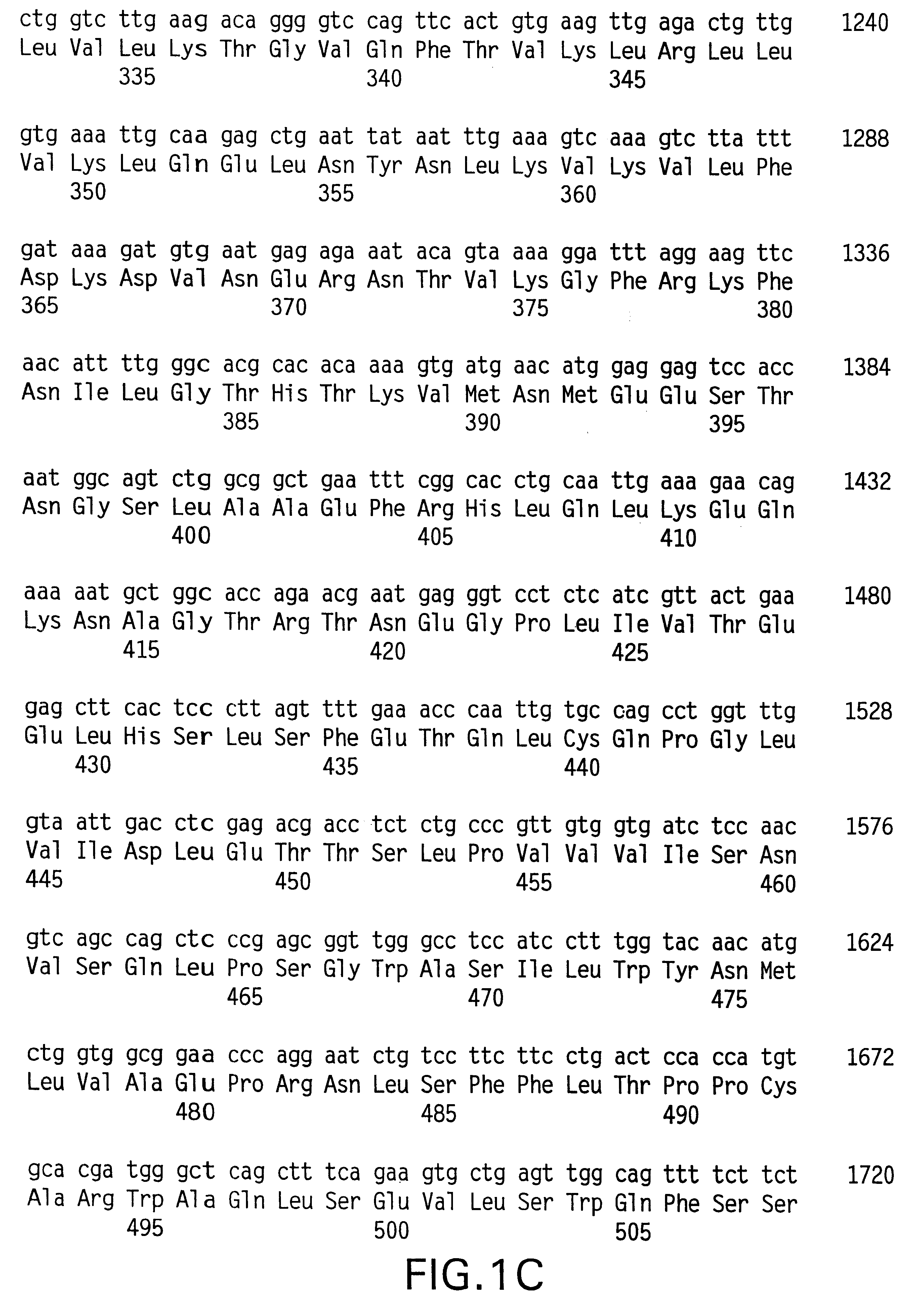 Method for identifying a compound to be tested for an ability to reduce immune rejection by determining Stat4 and Stat6 proteins