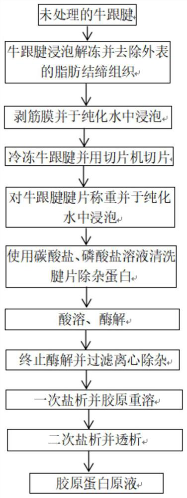 Extraction method of bovine achilles tendon collagen