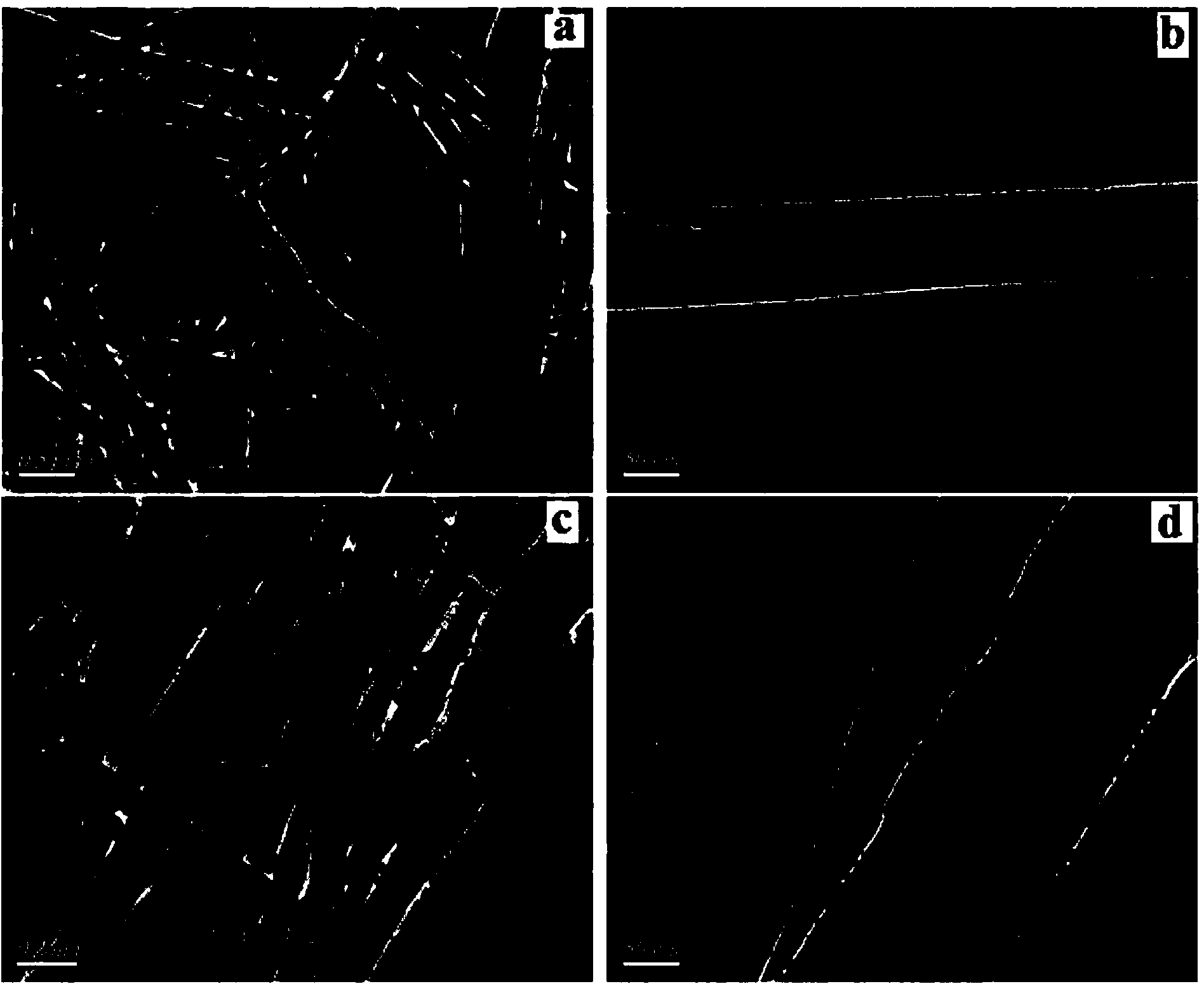 Controllable preparation method of magnetic halloysite surface nano imprinting composite material