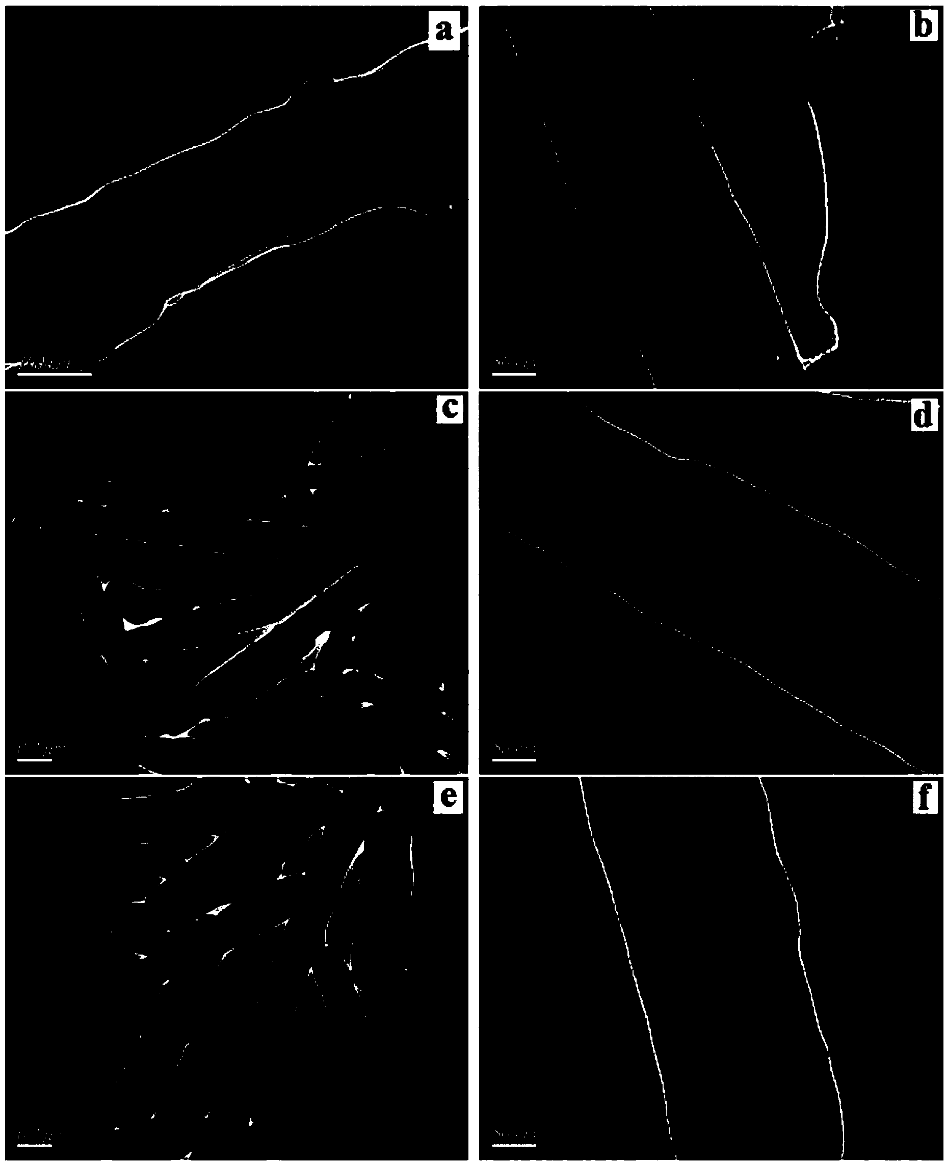 Controllable preparation method of magnetic halloysite surface nano imprinting composite material