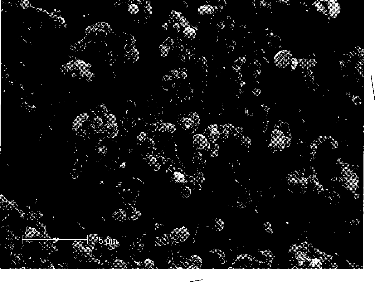 Process for producing absorbent charcoal loading titanium dioxide photocatalyst