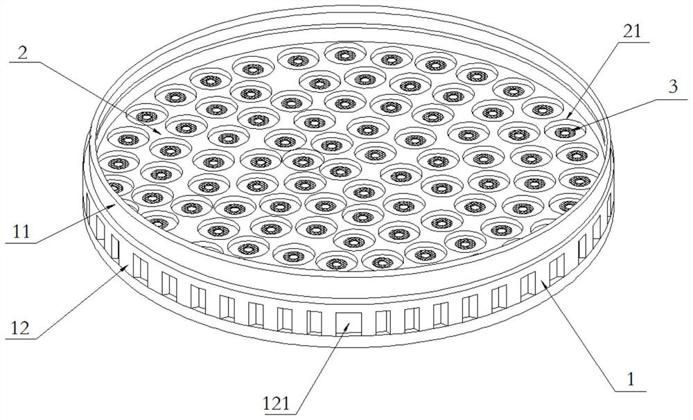 Placement sieve for drying golden silk chrysanthemum