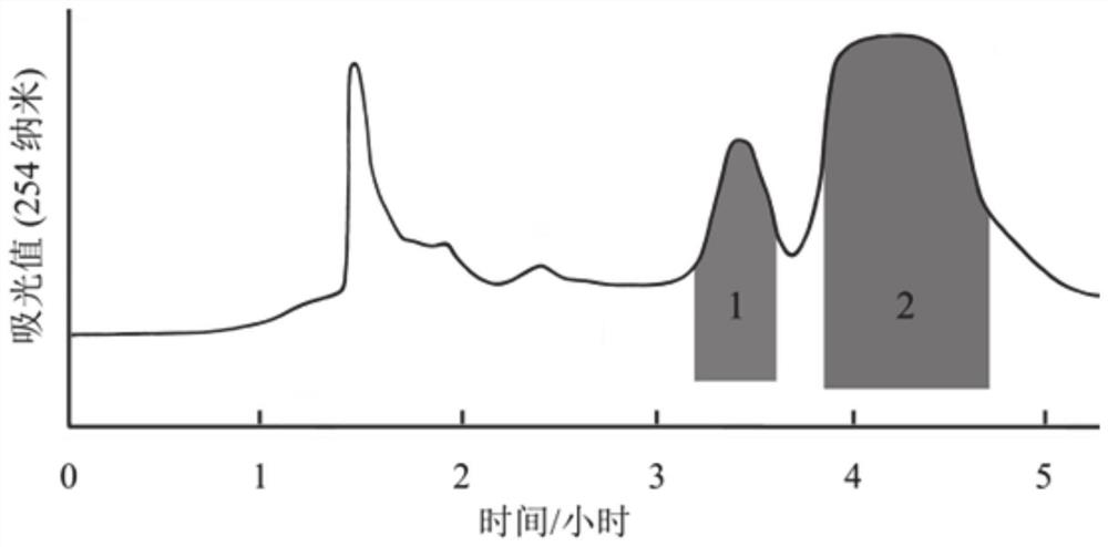 Efficient preparation method and application of high-purity amide alkaloid component