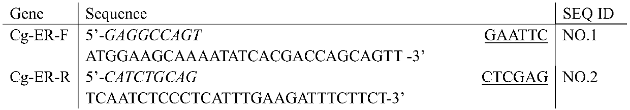 Yeast recombination system for detecting endocrine disrupting chemicals and method thereof