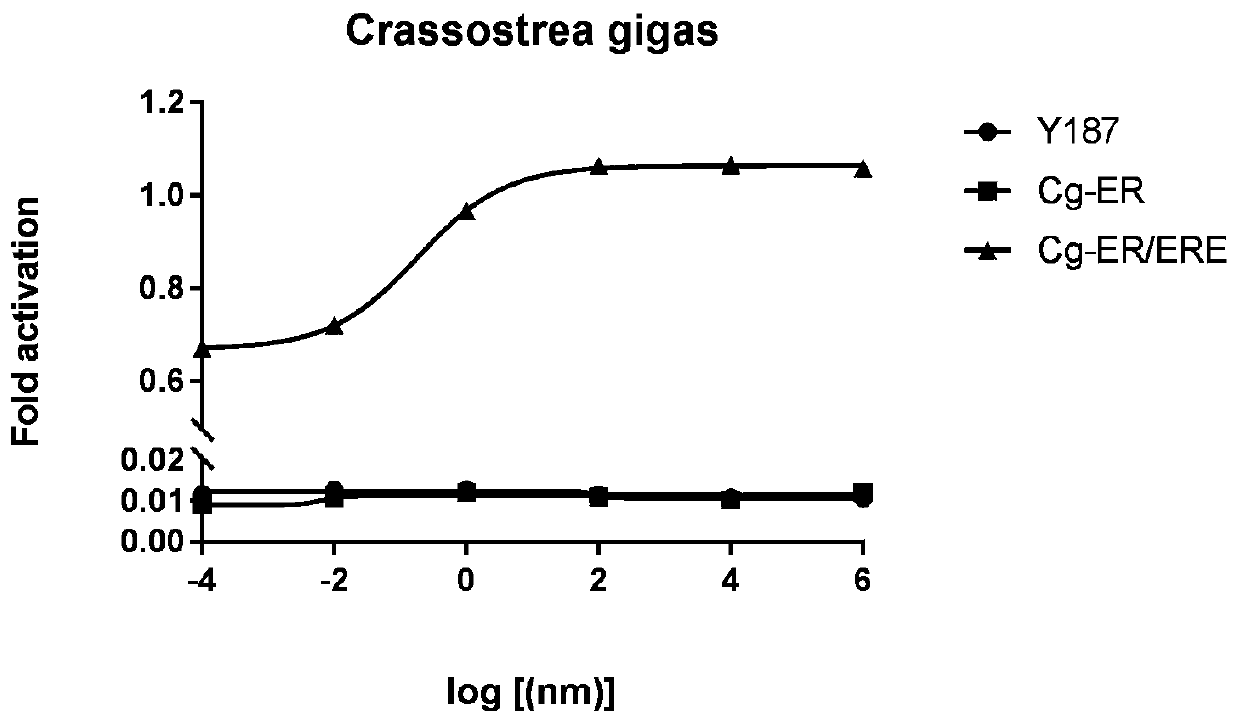 Yeast recombination system for detecting endocrine disrupting chemicals and method thereof