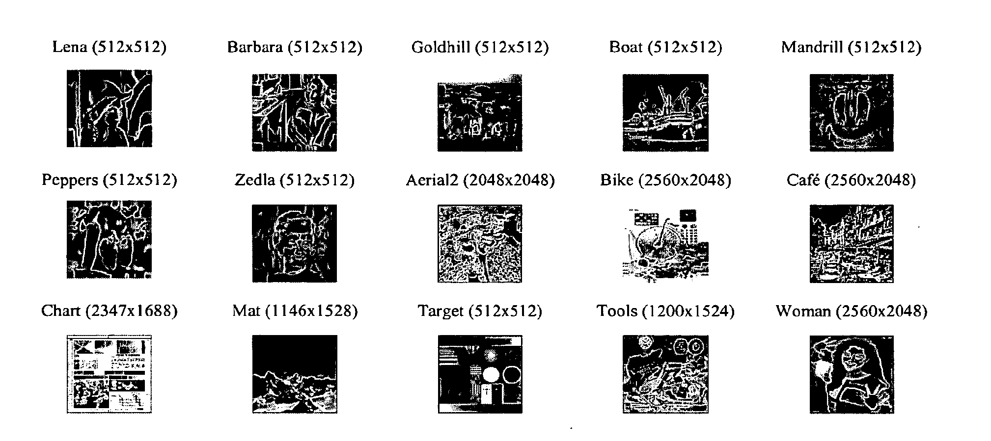 Efficient rate allocation for multi-resolution coding of data