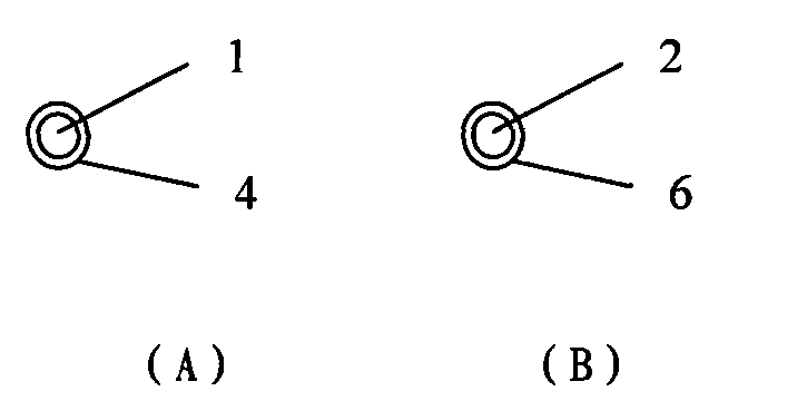 Nerve signal detection/excitation electrode, twin-electrode, electrode array and preparation methods thereof