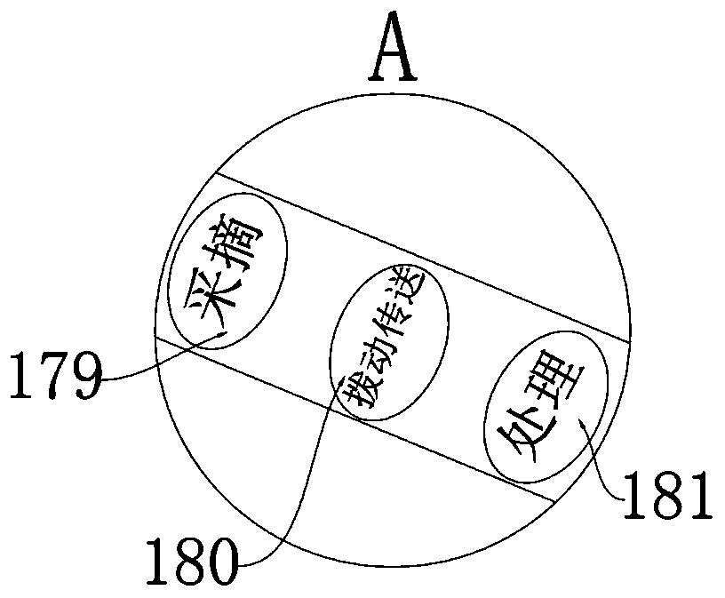 Integrated rotary-pull-leaf-removing air-flow-tilt-preventing precise-classification wearable traveling garment for antirrhinum majus harvesting