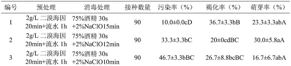 Efficient cultivation method of sterile explant of peach badam stem segment and explant