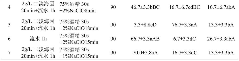 Efficient cultivation method of sterile explant of peach badam stem segment and explant