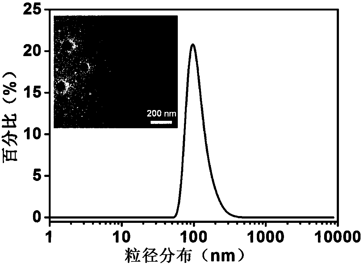 Nano-particle with excellent blood stabilizing performance, and preparation method thereof