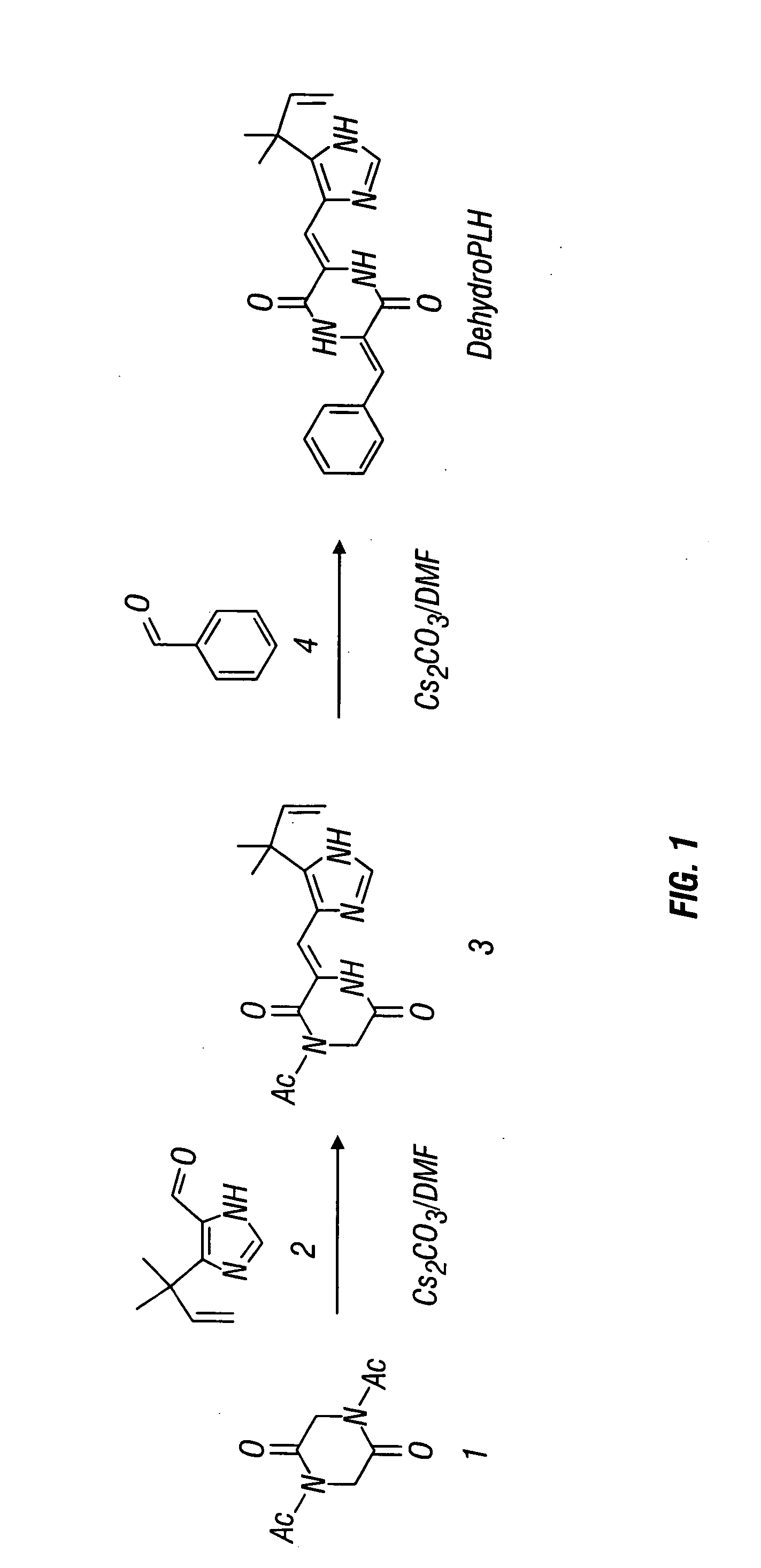 Dehydrophenylahistins and analogs thereof and the synthesis of dehydrophenylahistins and analogs thereof